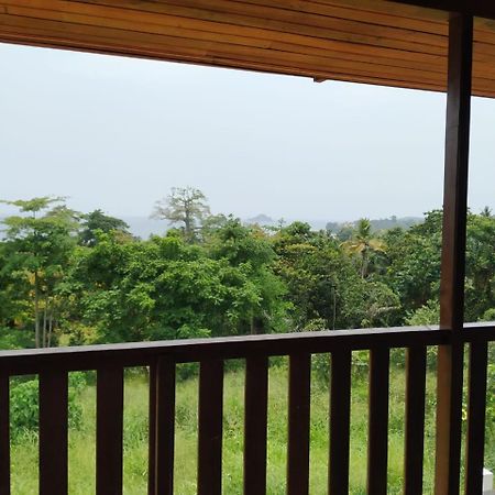 Domus Guesthouse Santana エクステリア 写真